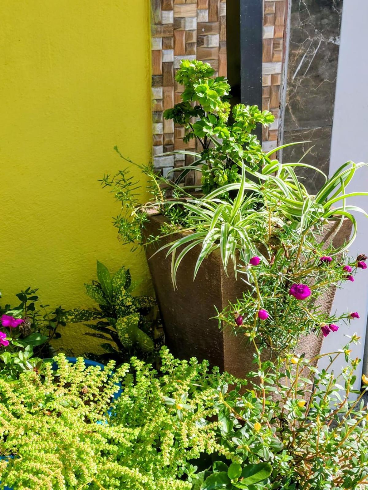 Hospedagem Encantos Da Serra Itatiaia  Eksteriør billede
